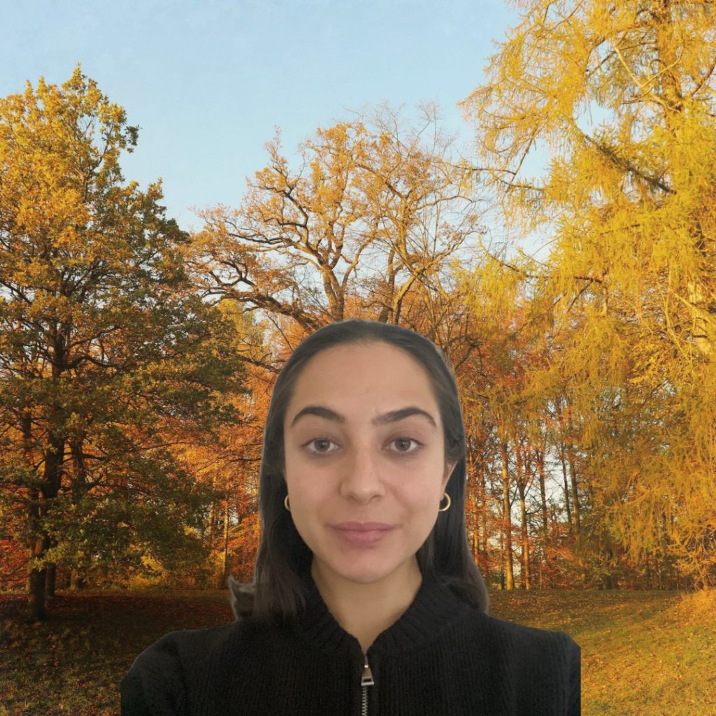 Teresa - psychologist at Internal Sunshine